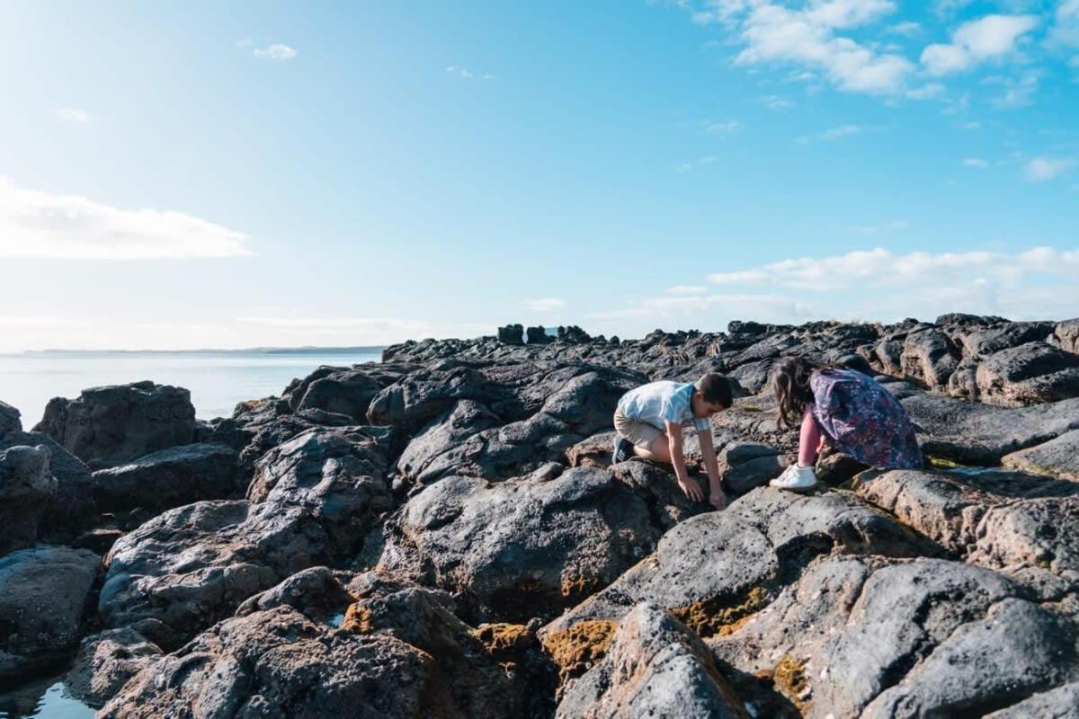 Takapuna Beachfront W Stunning Views Auckland Eksteriør billede